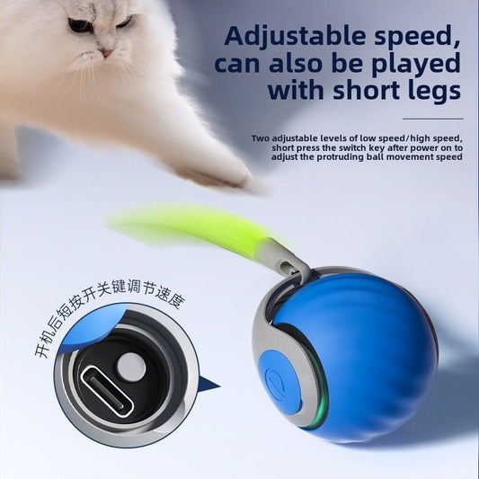 Pet Gravity Protrusion Ball