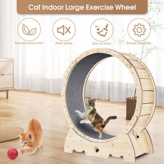 Exercise Wheel For Indoor Cats