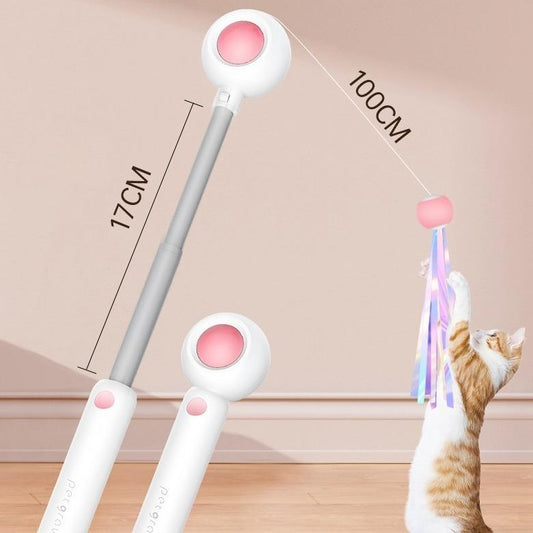 Cat Laser Teaser Wand