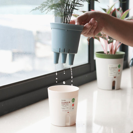 Water Storage Self-absorbent Flowerpot