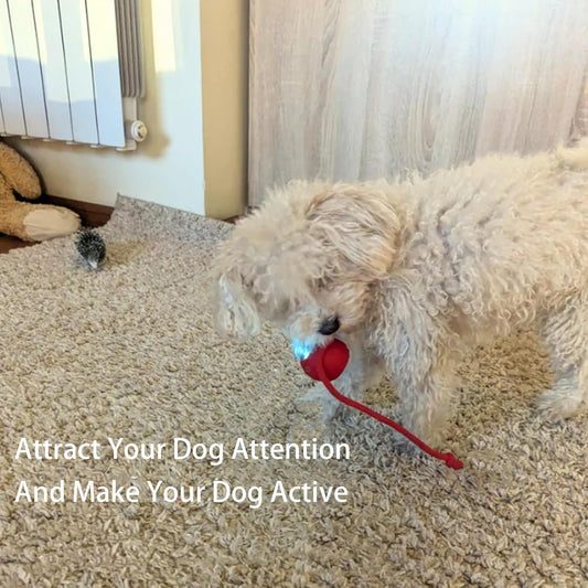 360° Smart Automatic Rolling Pet Ball – Interactive Rechargeable Toy for Dogs & Cats with Obstacle Avoidance