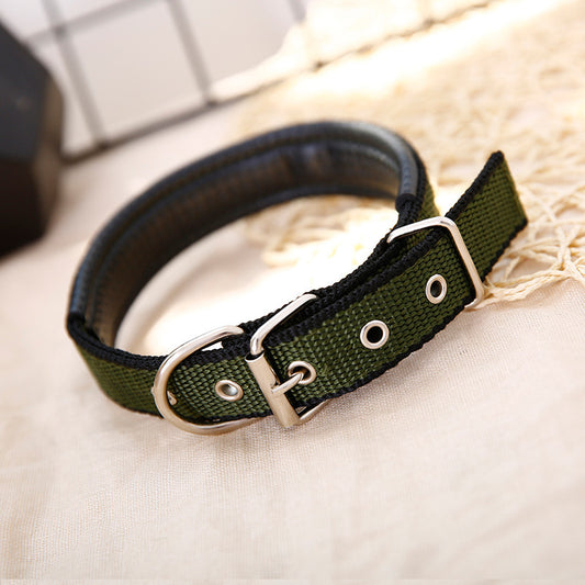 Braid Lined Polypropylene Dog Collar