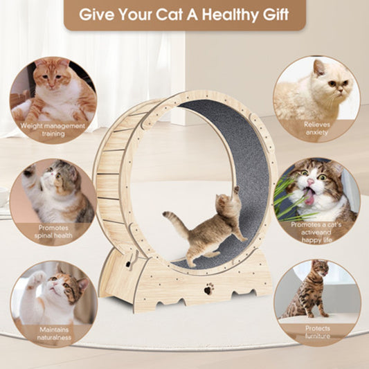 Exercise Wheel For Indoor Cats