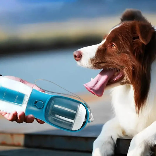3-in-1 Portable Pet Cups