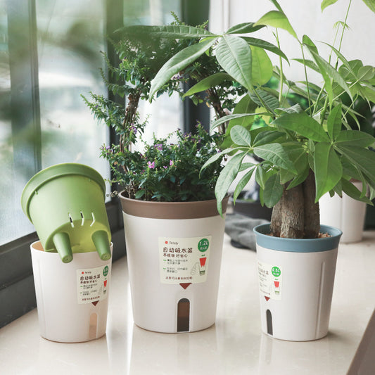 Water Storage Self-absorbent Flowerpot
