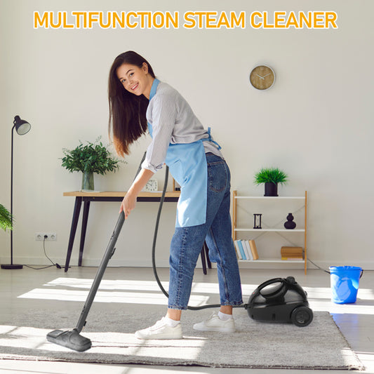 American Standard VSC28A Steam Cleaner