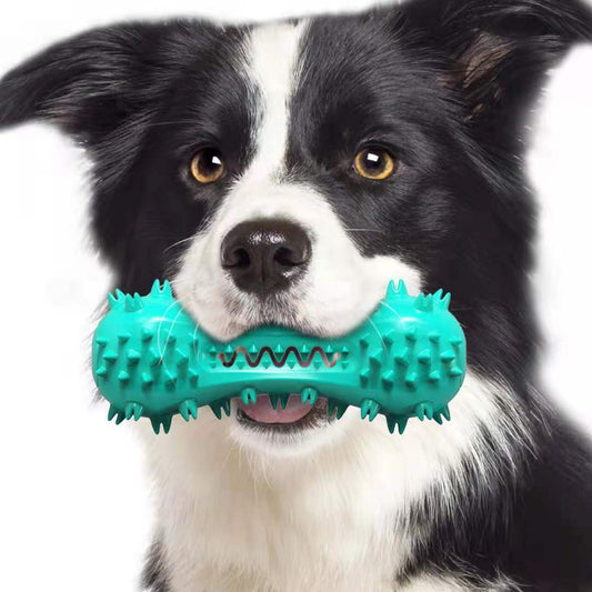 Chew Toy For Aggressive Dogs