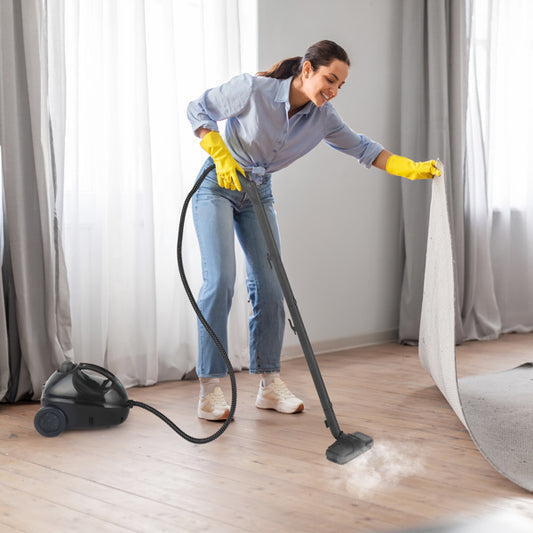 American Standard VSC28A Steam Cleaner