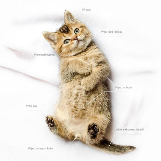 PET Cleaning Deo. Bathing Wipes