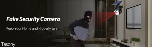 Motion Sensing Solar Light | Outdoor