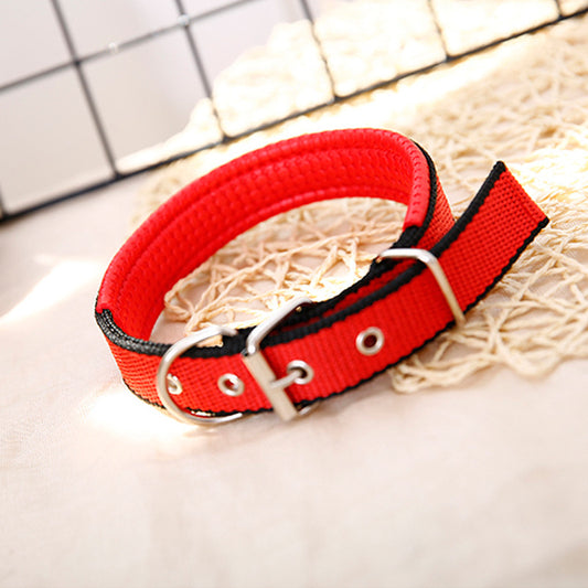 Braid Lined Polypropylene Dog Collar