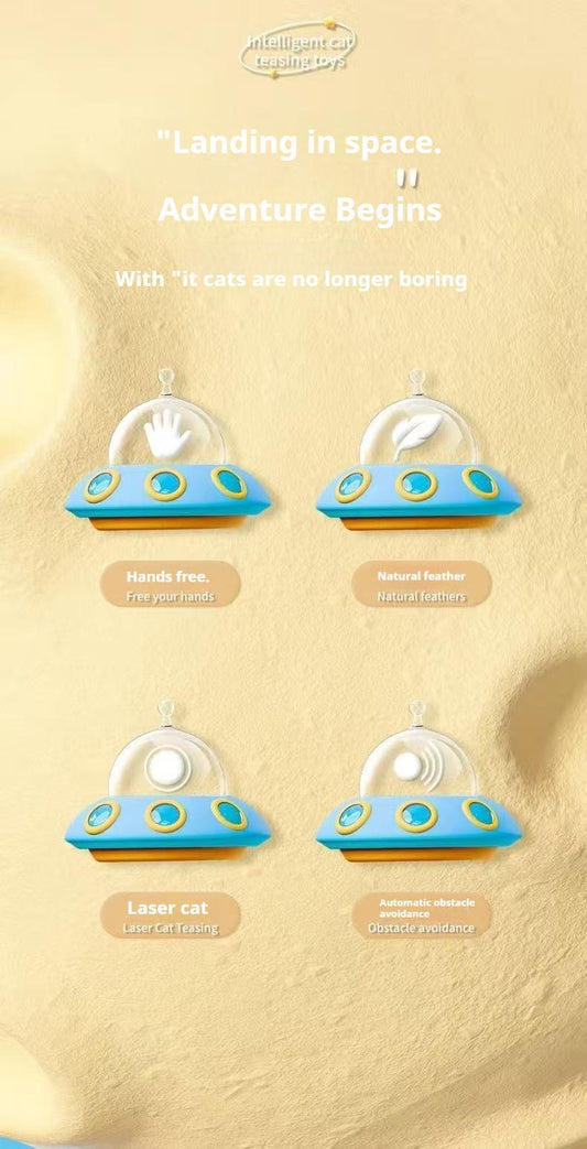 Electric Cat Car With Automatic Laser Pointer