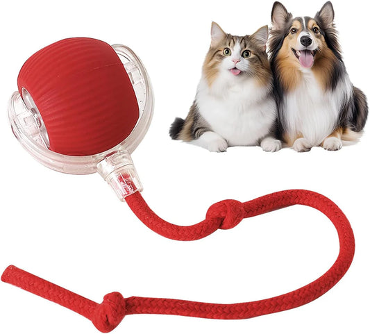Watch Your Cat Go Crazy With This Self-Rolling Ball