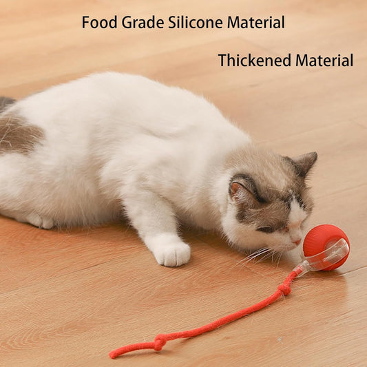 Watch Your Cat Go Crazy With This Self-Rolling Ball