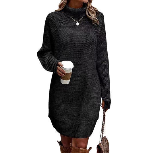 Women's Turtleneck Sweater Dress