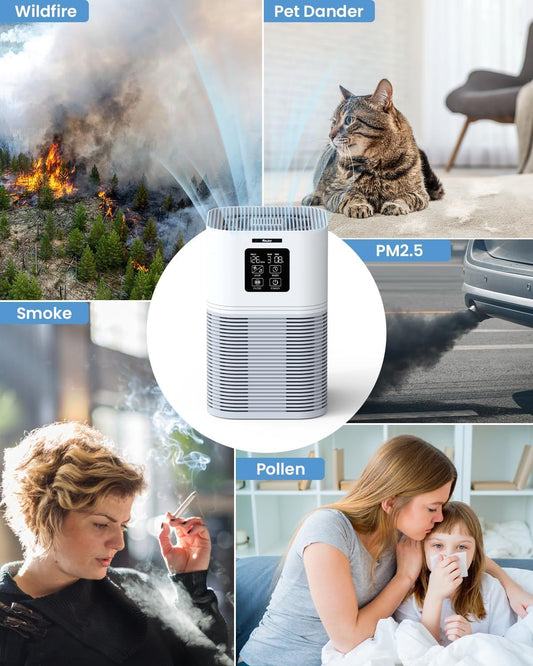 Air Purifier