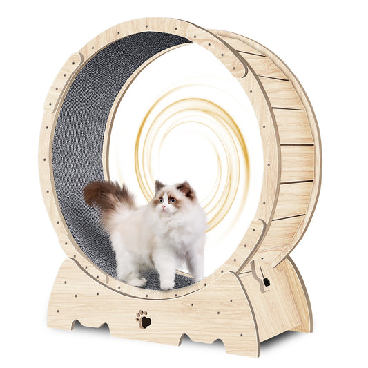 Exercise Wheel For Indoor Cats