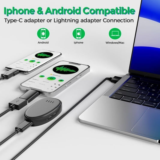 Miniature Voice Recorded
