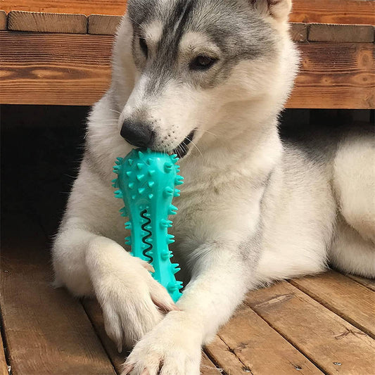 Chew Toy For Aggressive Dogs
