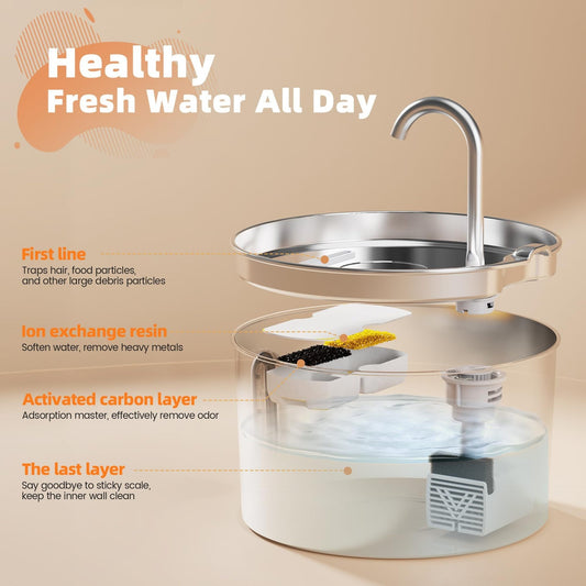 Stainless Steel Automatic Water Dispenser