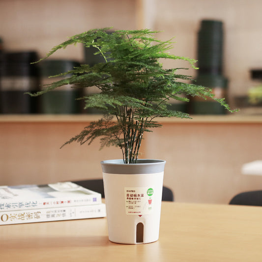 Water Storage Self-absorbent Flowerpot