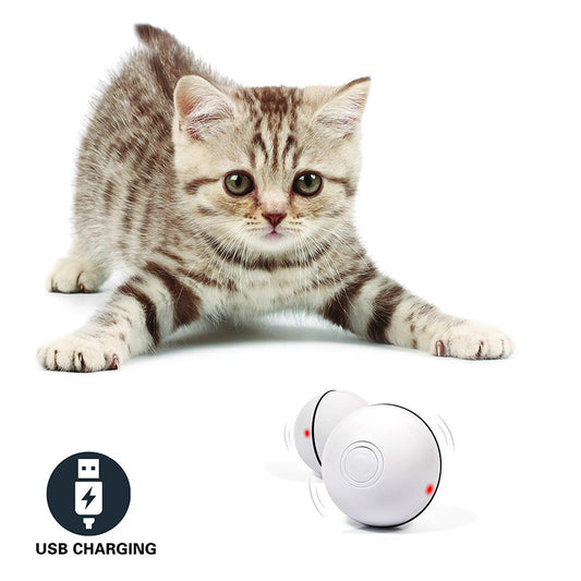 LED Laser Electronic Rolling Ball Pet Toy