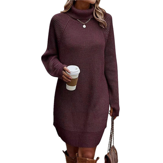 Women's Turtleneck Sweater Dress