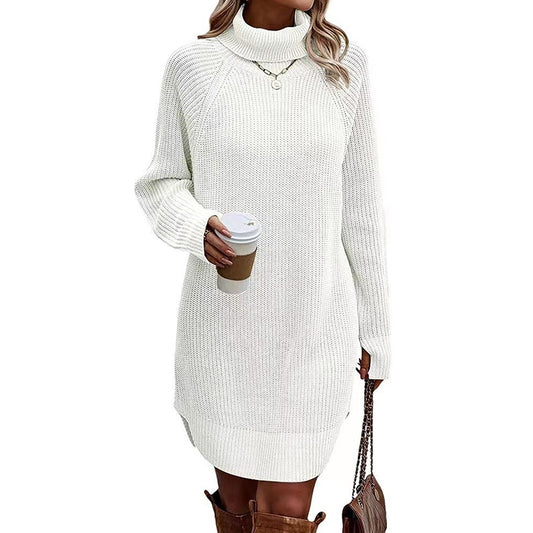 Women's Turtleneck Sweater Dress