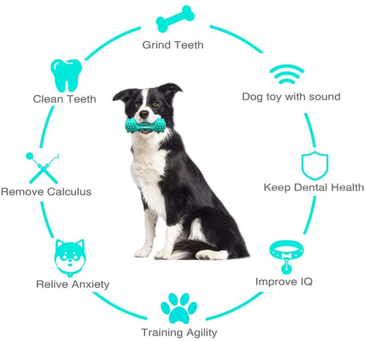 Chew Toy For Aggressive Dogs