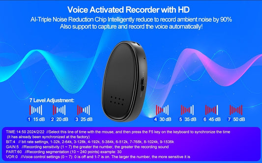 Miniature Voice Recorded