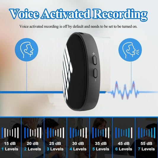 Miniature Voice Recorded