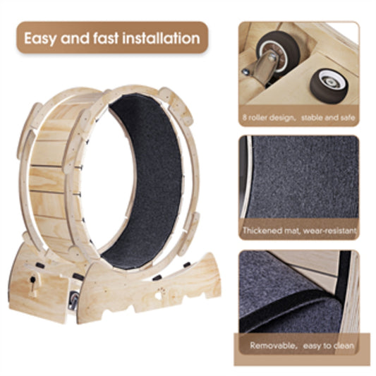 Exercise Wheel For Indoor Cats